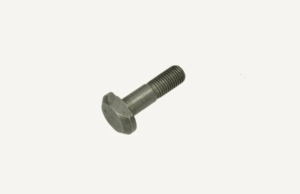 Tellerradschraube M10x1.25x36