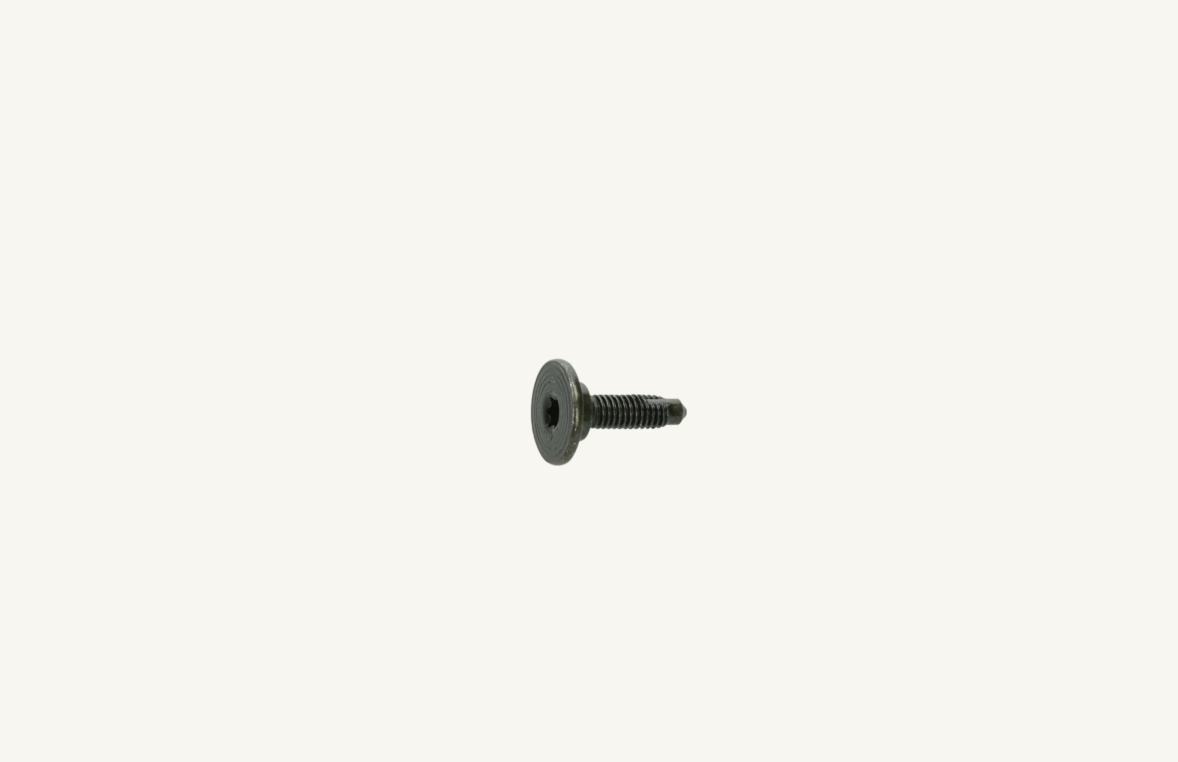Torxschraube M6x19