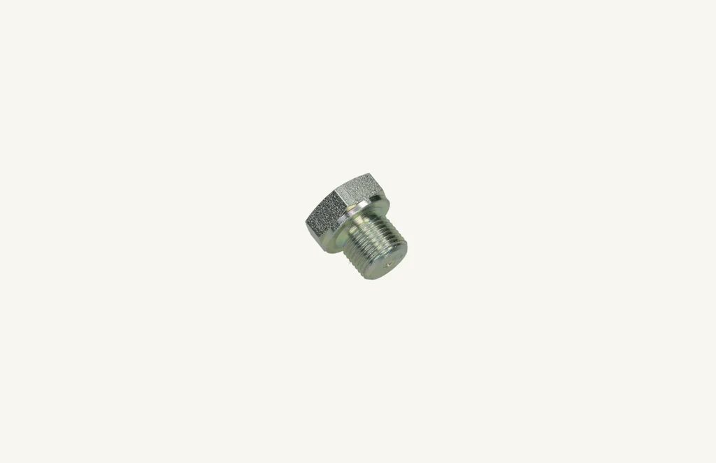 Plug Screw M12x1x10
