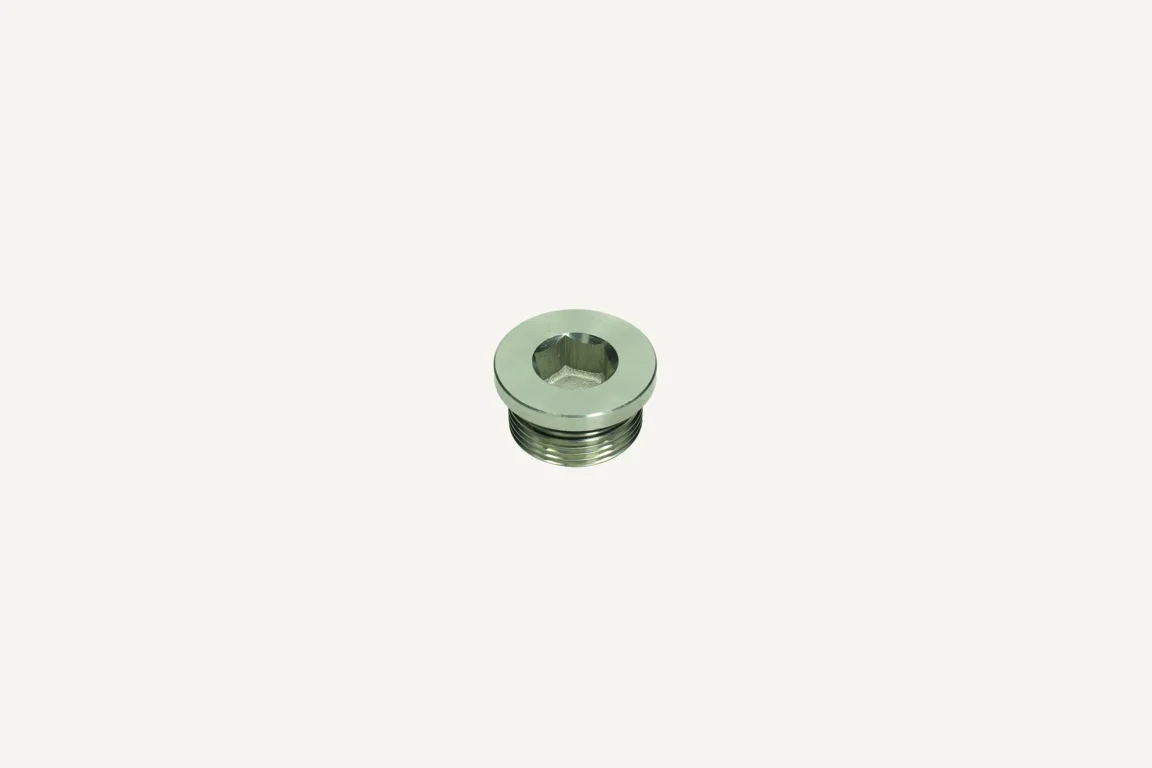 Plug Screw M33x2x16