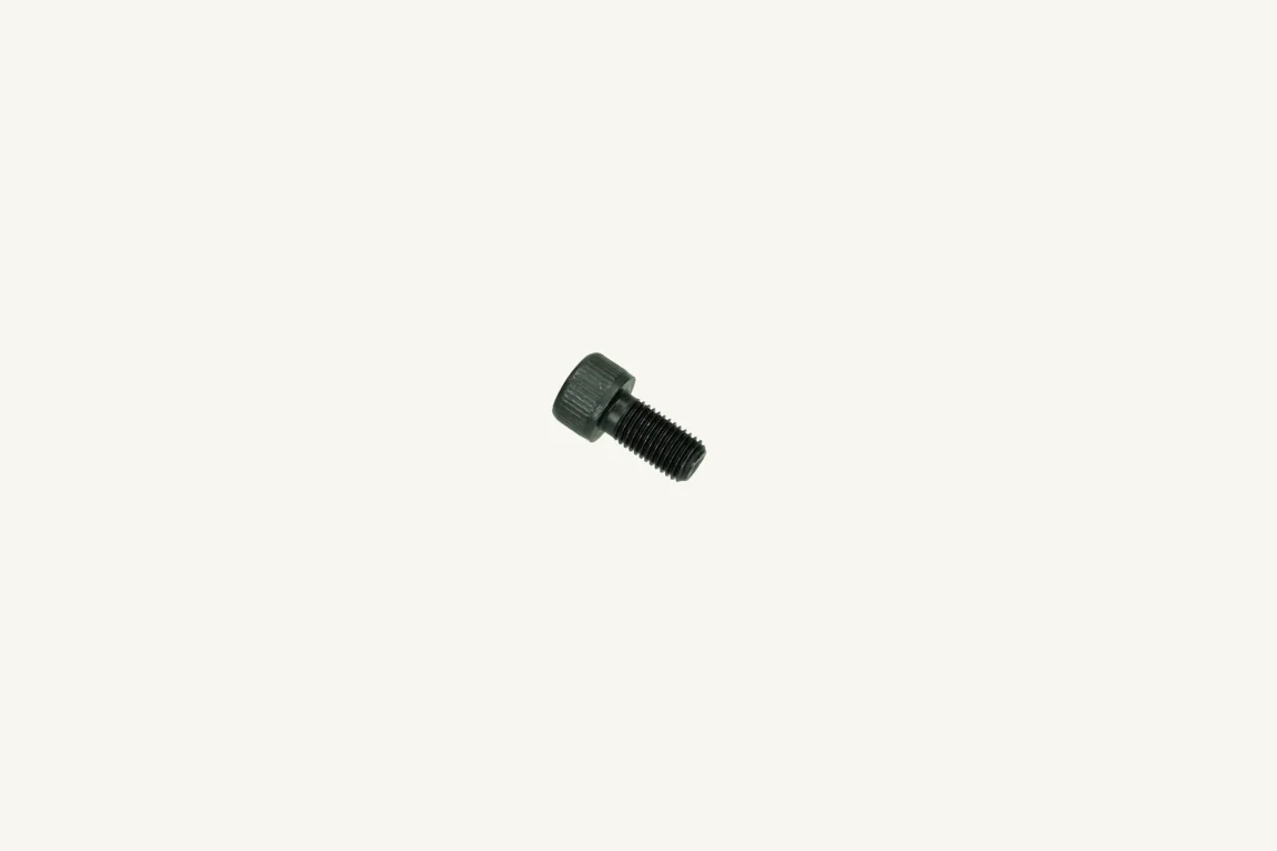 [1078736] Cap Screw Hex Socket M10x1.25x20 10.9