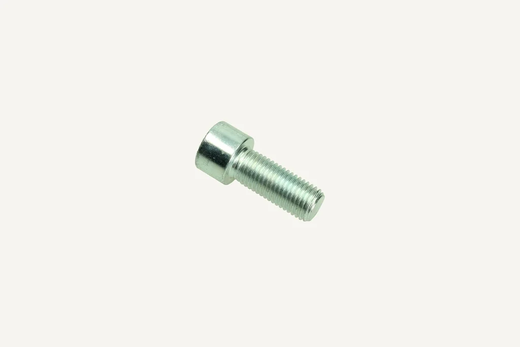 Cap Screw with Hex Socket M20x2.5x50mm 8.8