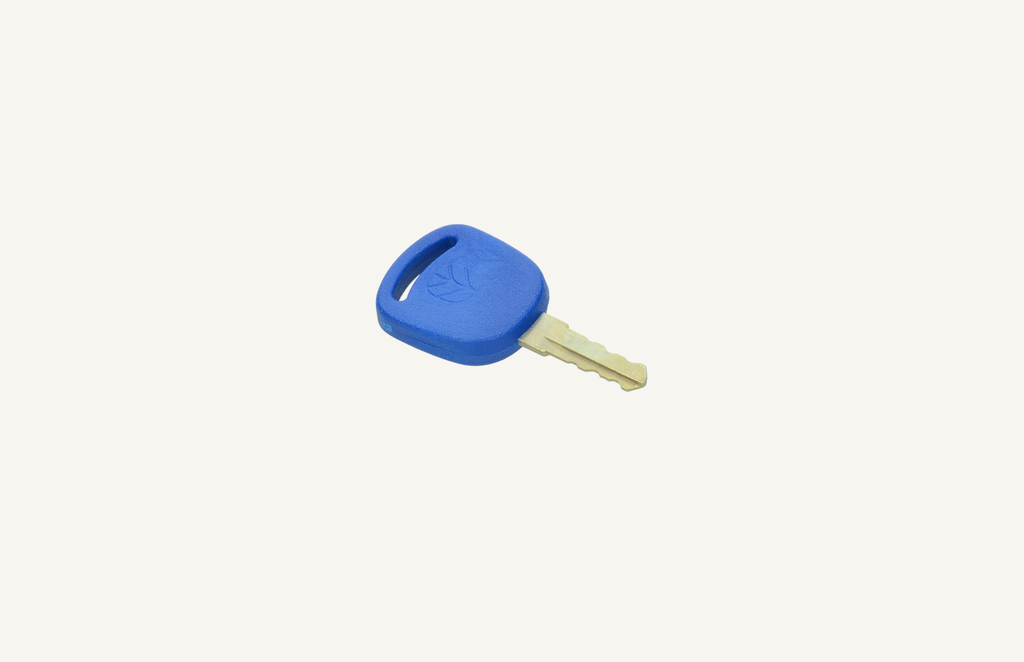 Ignition key