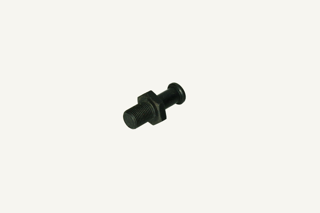 Door locking bolt M12x1mm