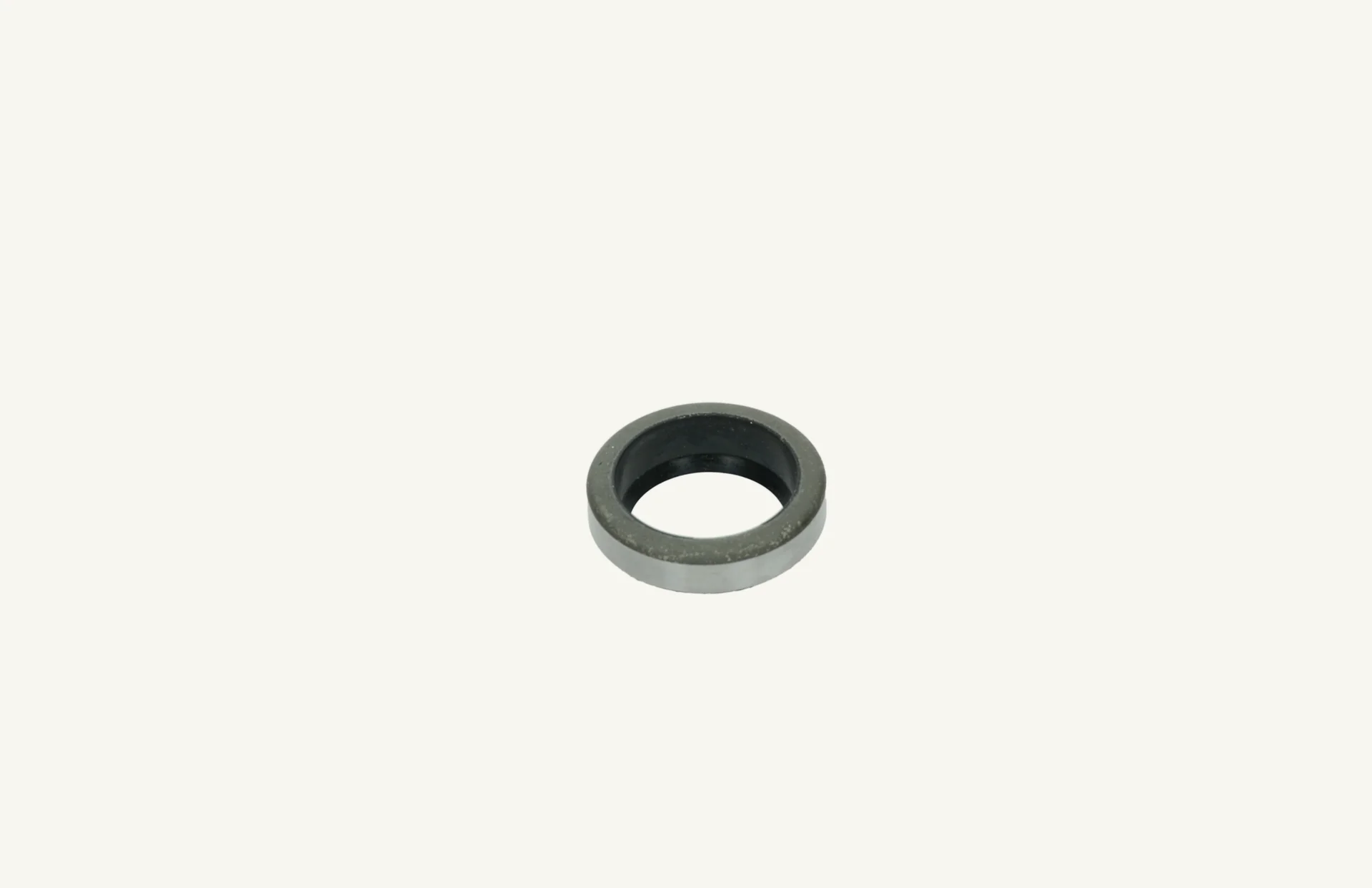 [1009377] Abstreifring