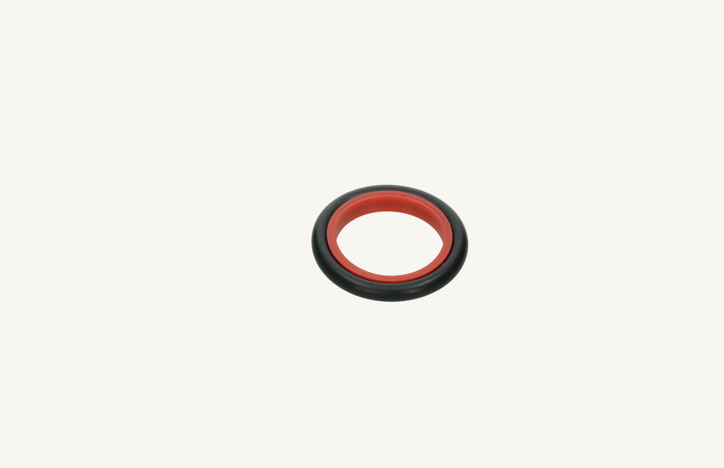 Dichtring