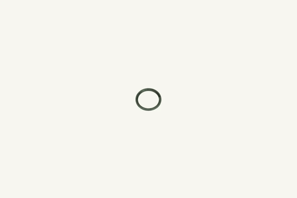 [1063379] Dichtring 19.60x24.30x1.56mm