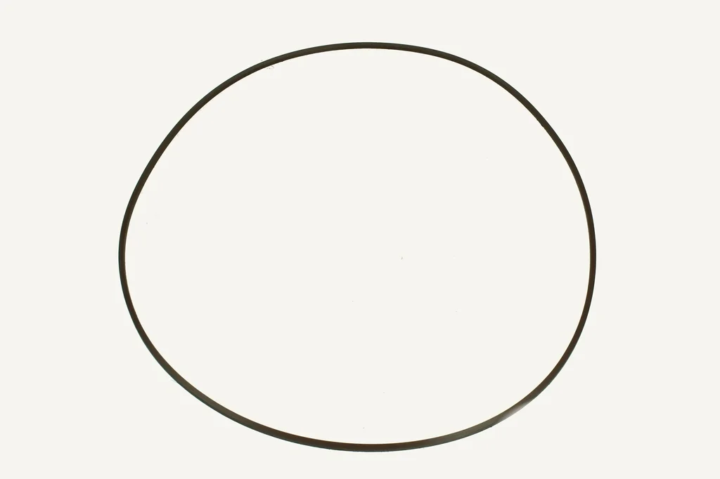 [1005923] Dichtring 313.6x3.4mm Viton