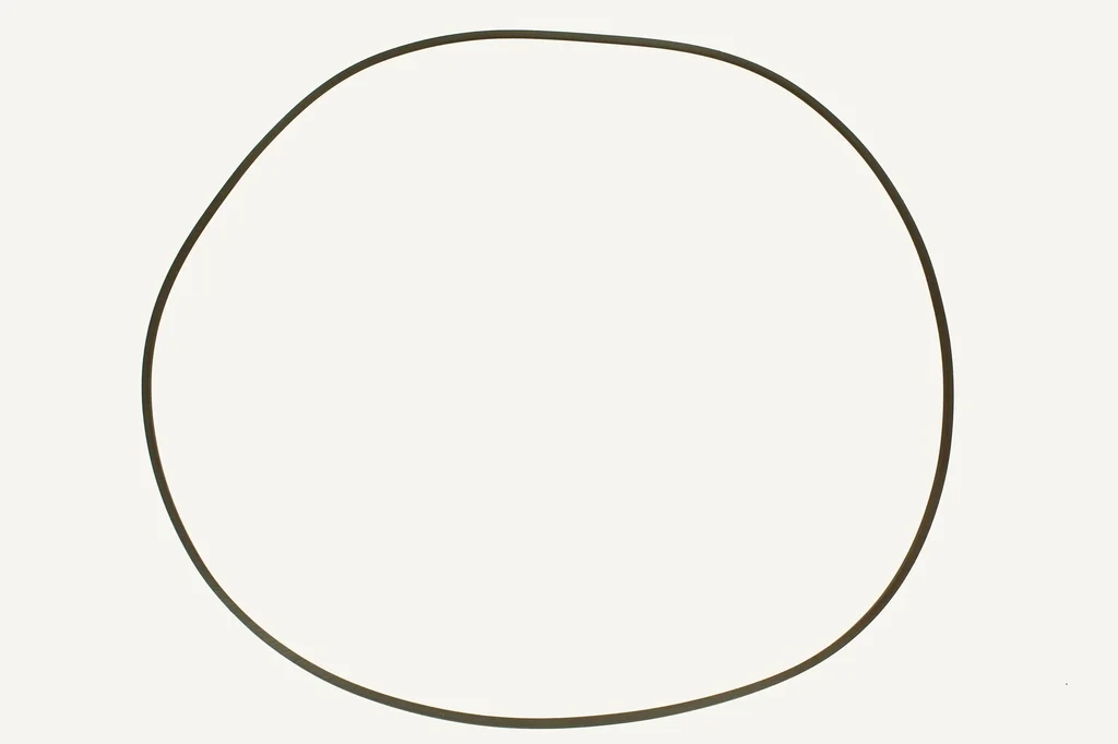 [1005924] Dichtring 369.6x3.4mm Viton