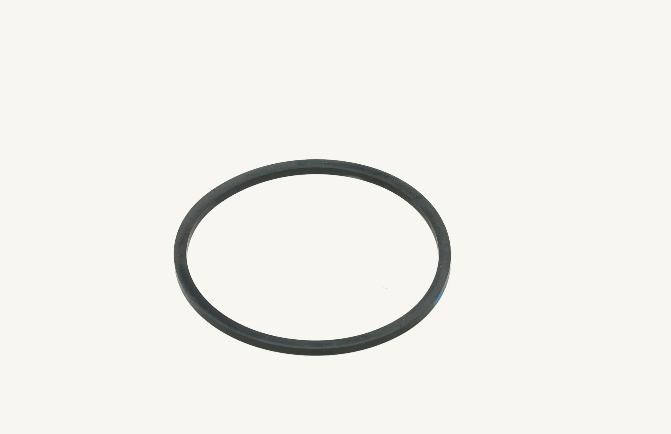Dichtring CAV Filter