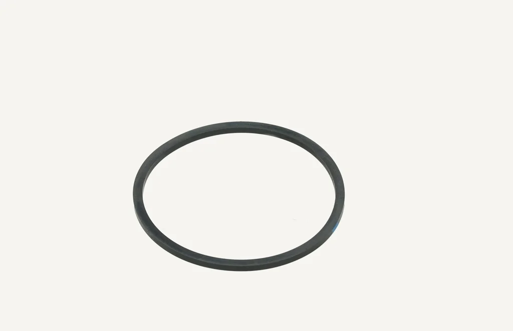 [1012752] Dichtring CAV Filter