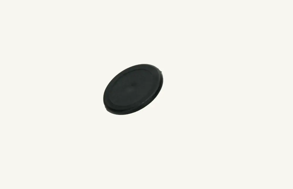 [1012400] Scheibe schwarz