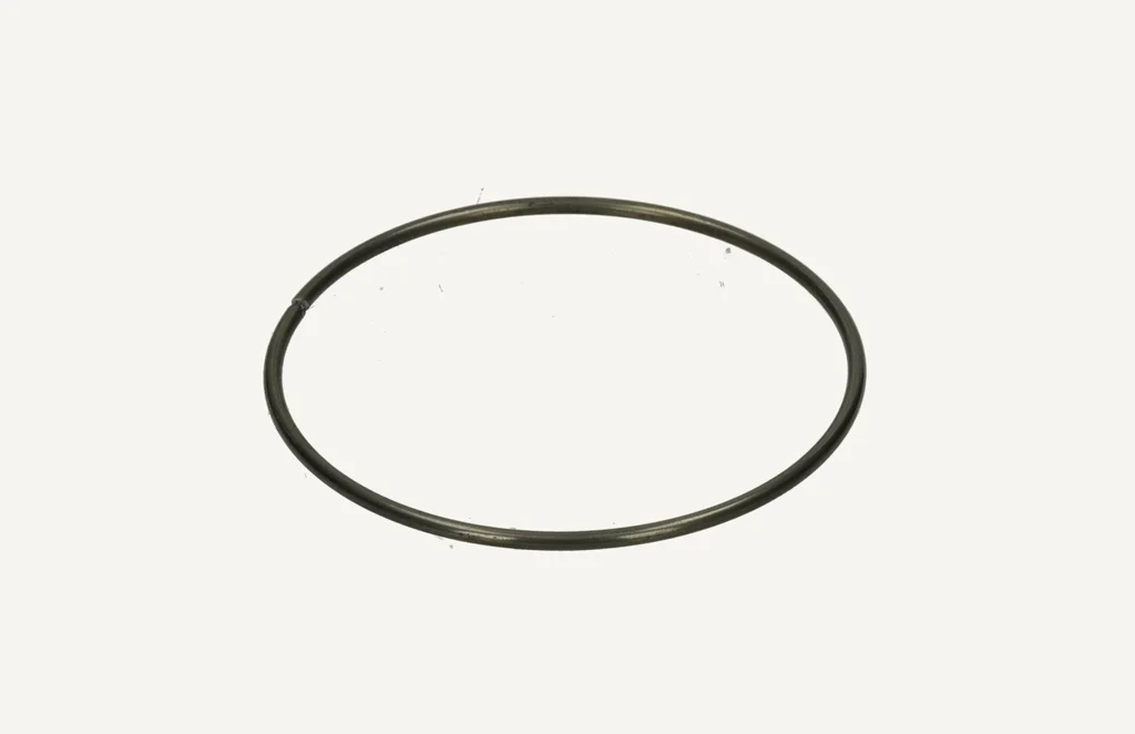 [1069471] Snap Ring 3.00x91mm