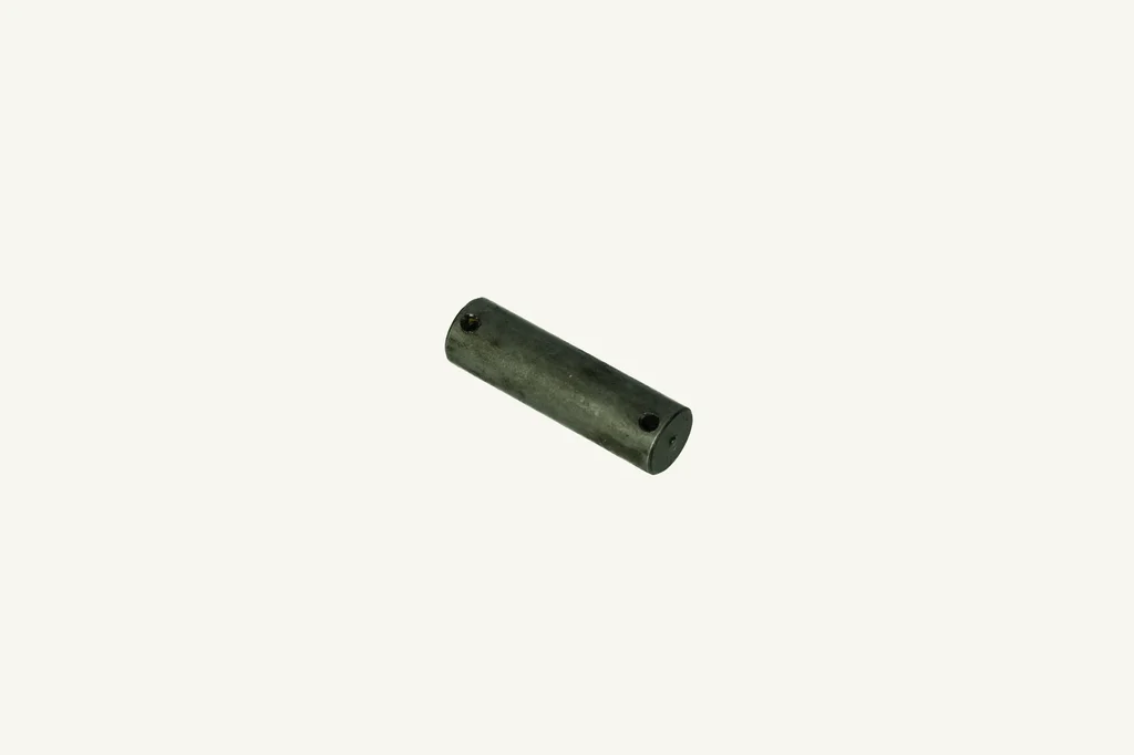 [1065311] Pin