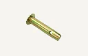 Pin
