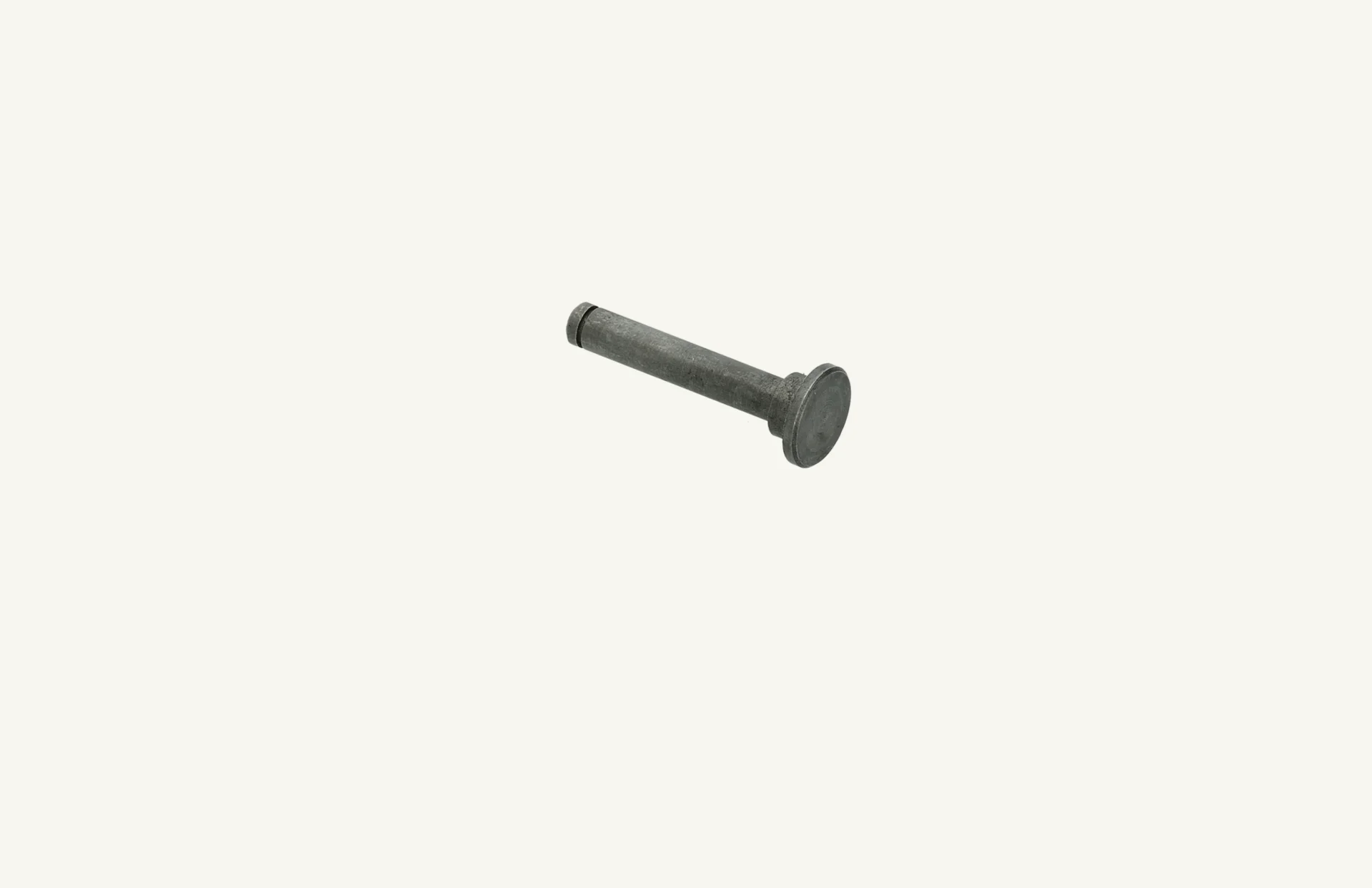 [1007902] Pin