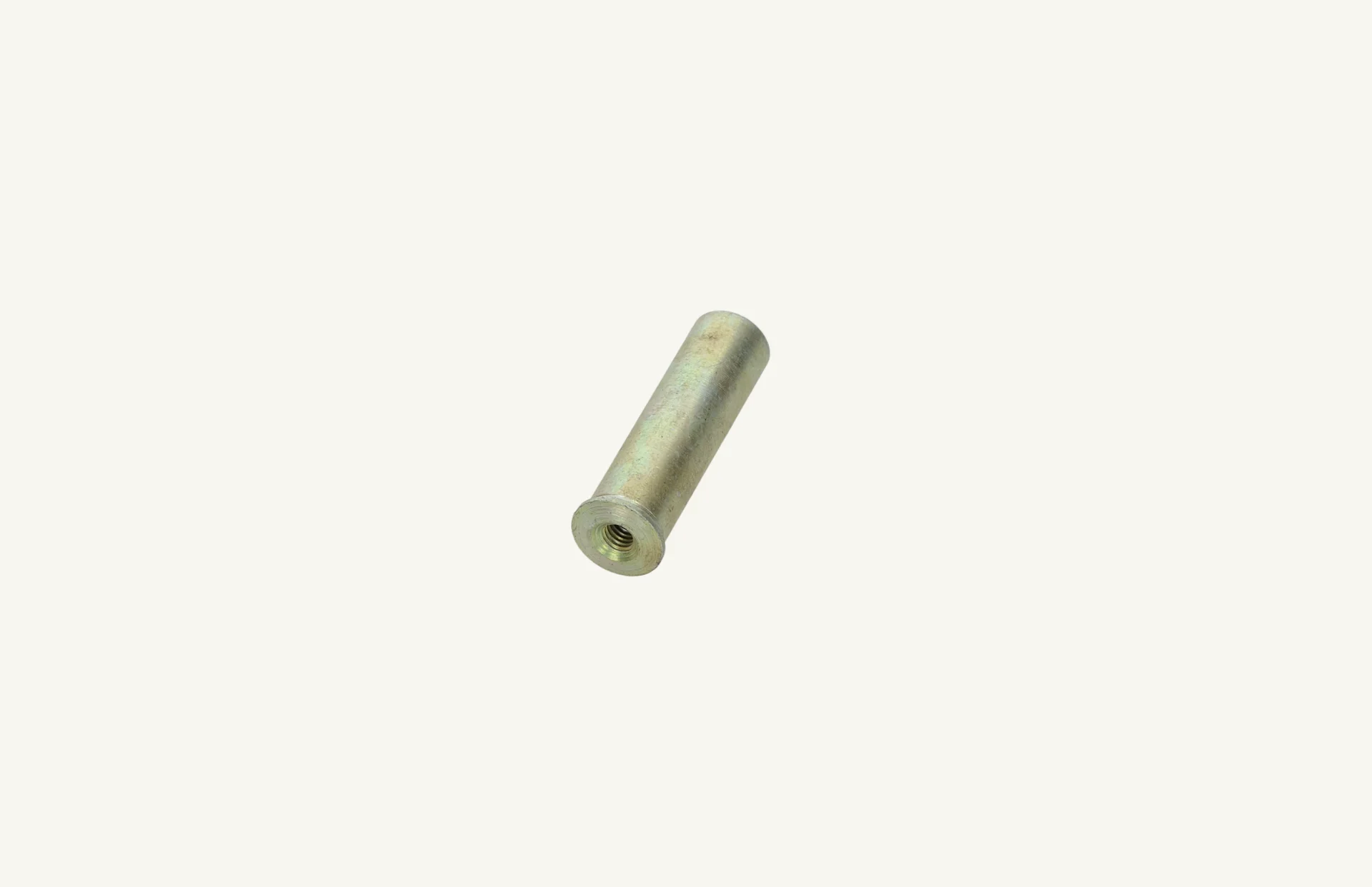 [1004323] Pin