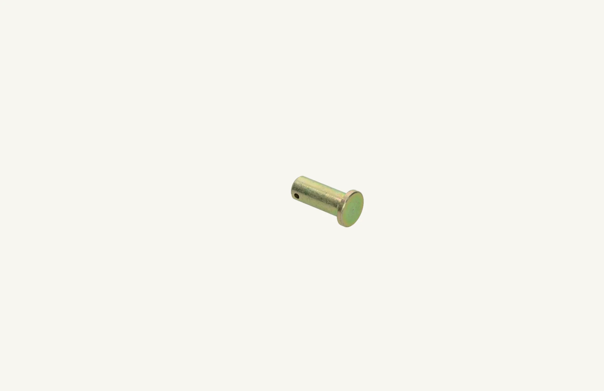 [1009816] Pin