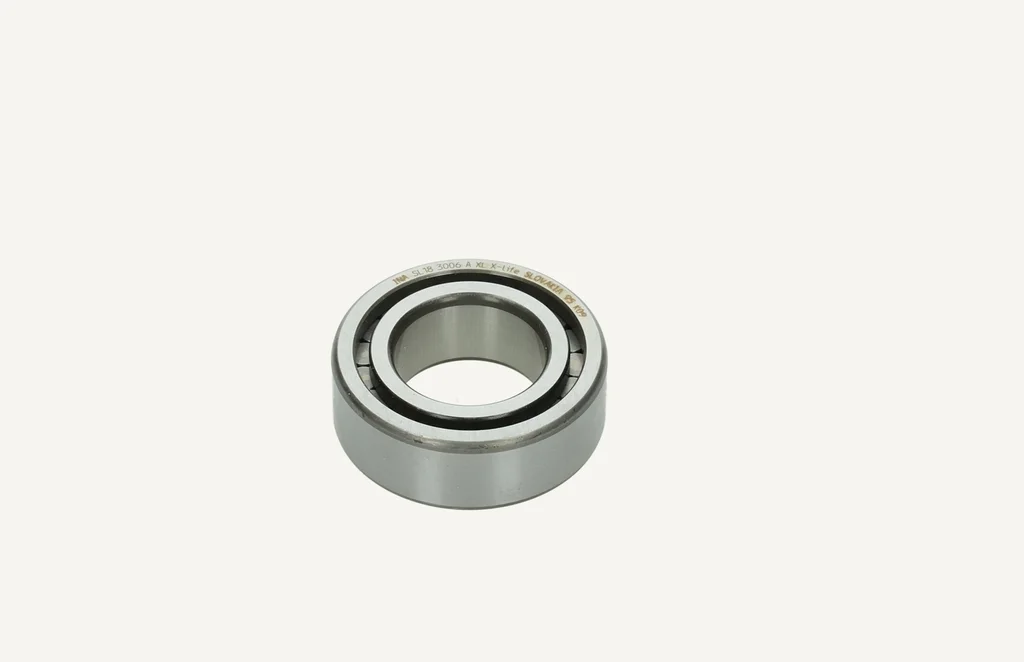 [1011377] Zylinderrollenlager 30x55x19mm