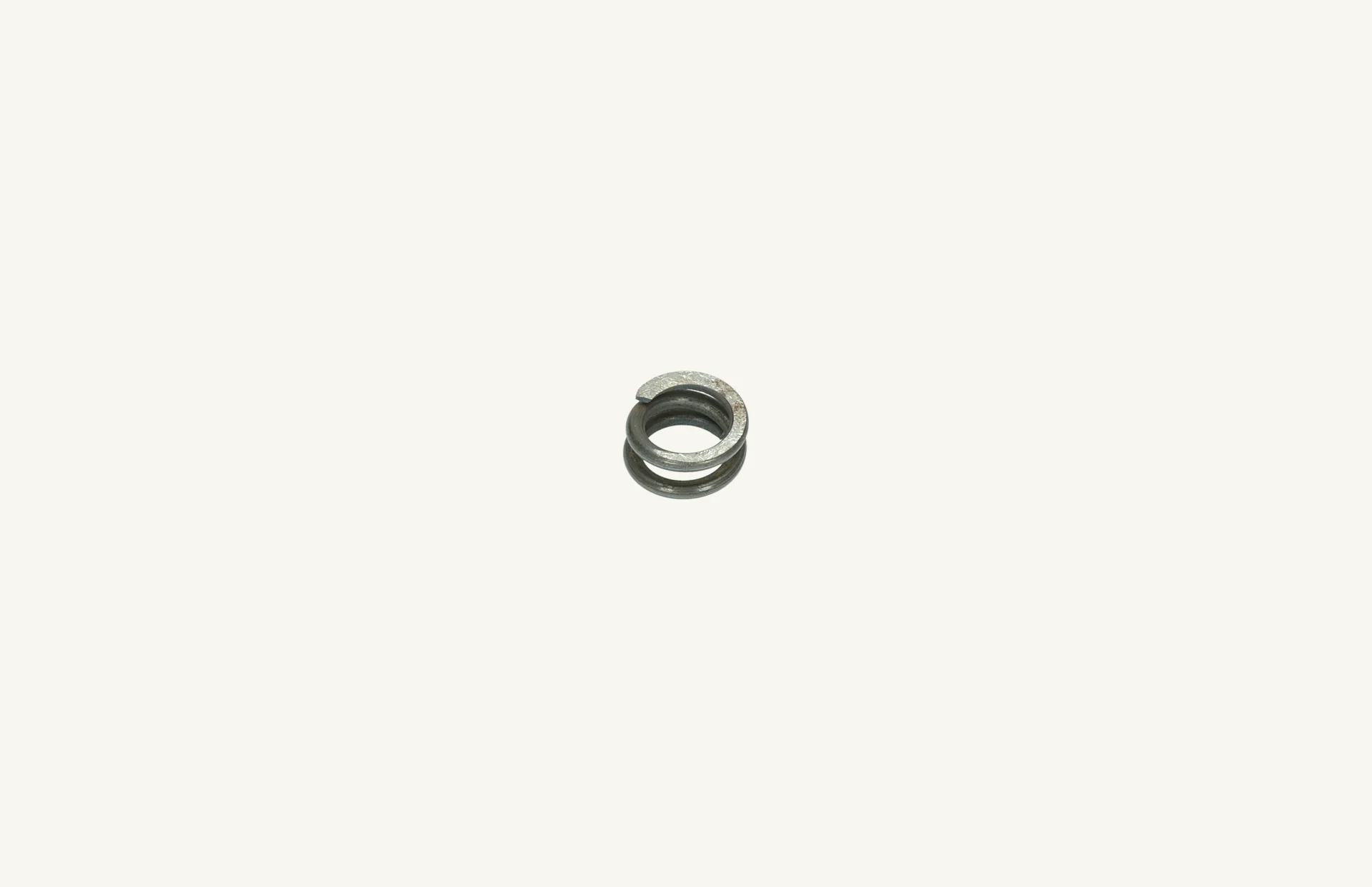 [1003563] Spring