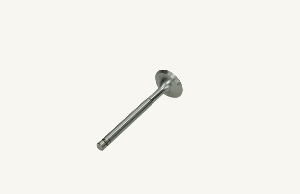 [1066660] Intake Valve
