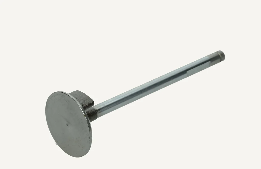 [1009139] Intake Valve