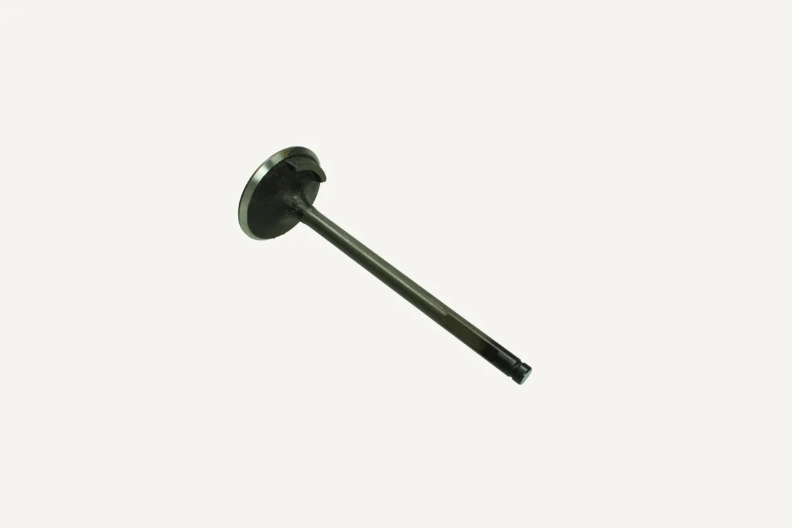 [1183790] Intake Valve 8x48.5x138mm