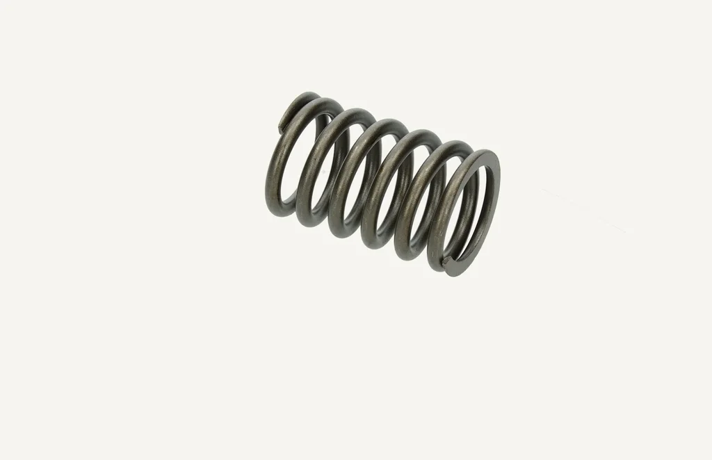 [1017264] Valve Spring