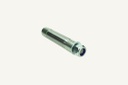 Extenderbolt D30x125dH30