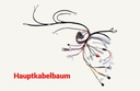 Kabelbaum Komplett
