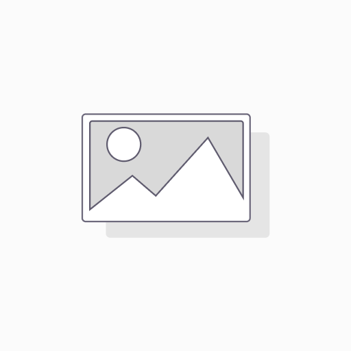 Auspufftopf