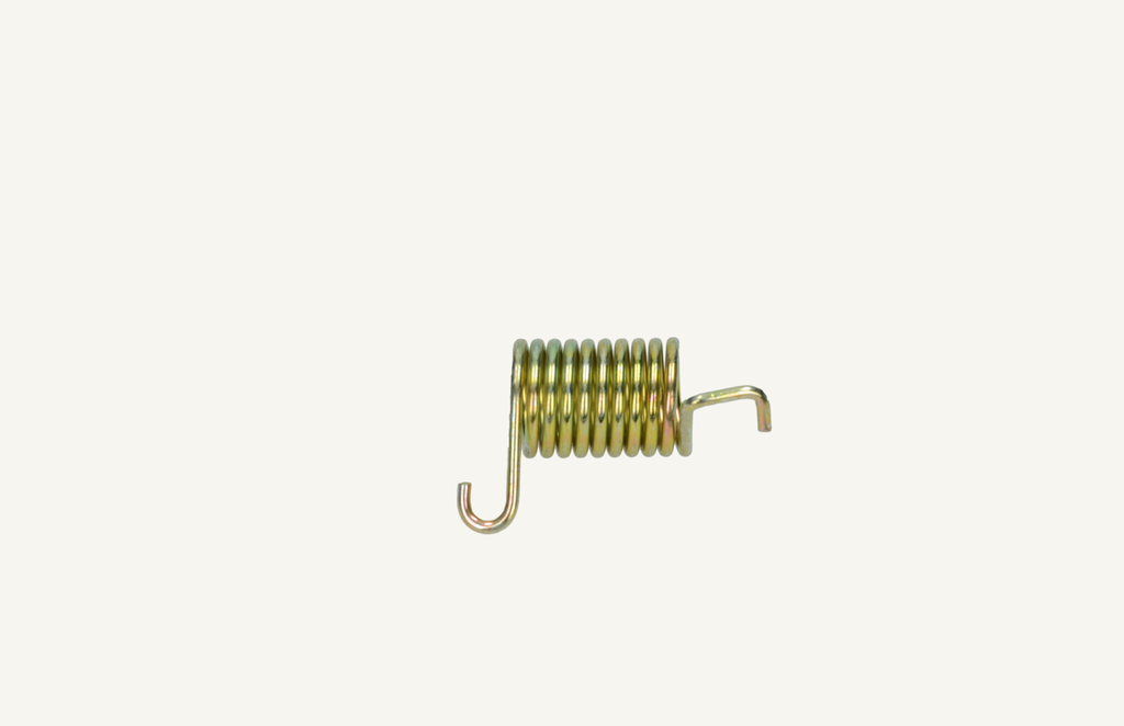 Spiral torsion spring