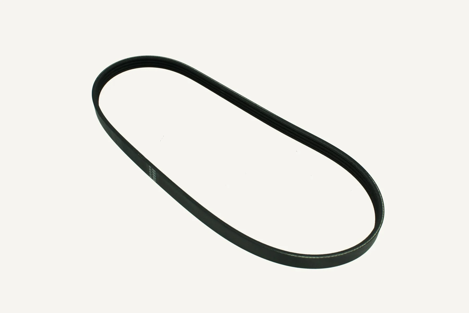 Ribbed Belt