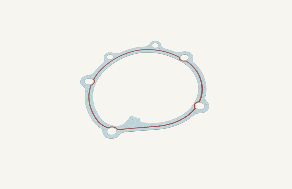 Water pump gasket