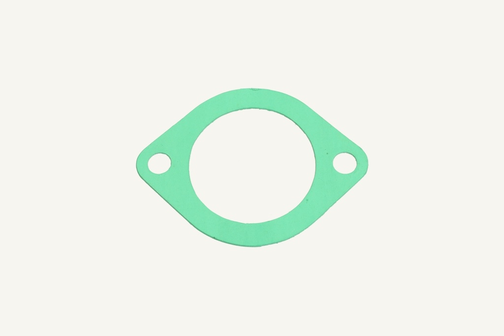 Thermostat seal