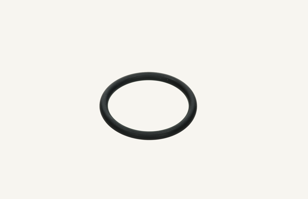 O-Ring 5.33x50.16mm