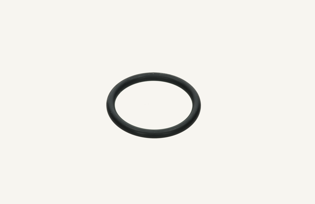 O-Ring 5.33x46.99mm