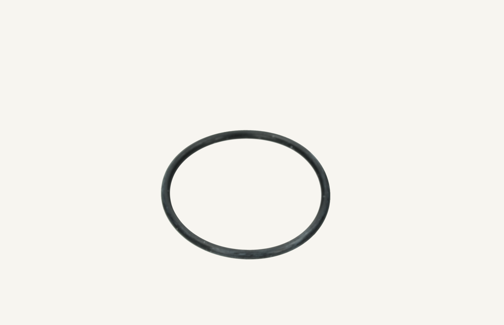 O-Ring 3.53x49.21mm