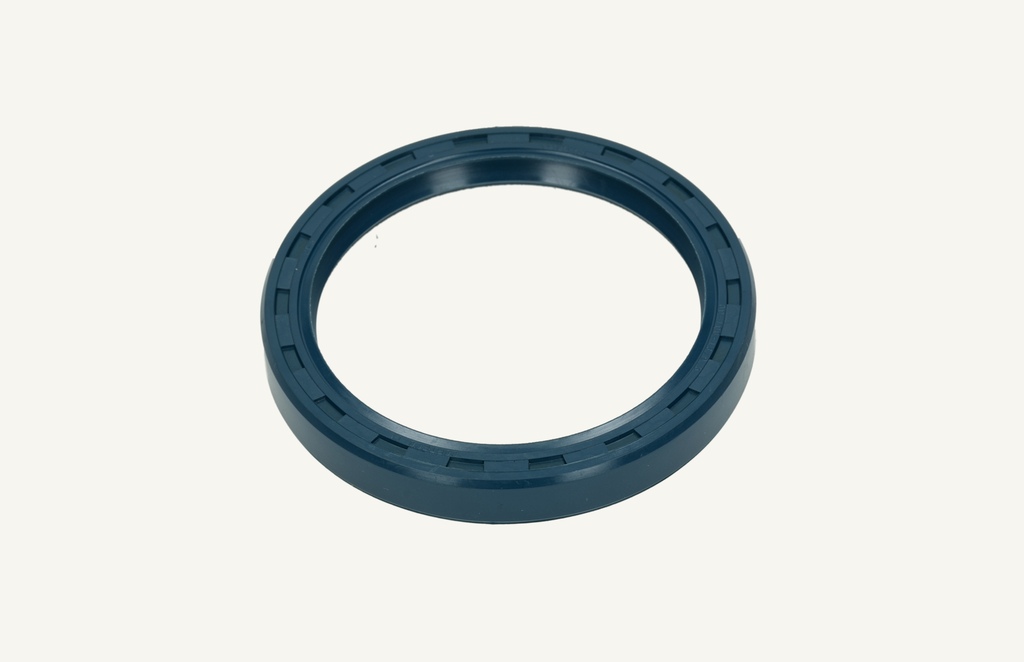 Oil seal 80x100x13