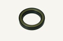 Oil seal