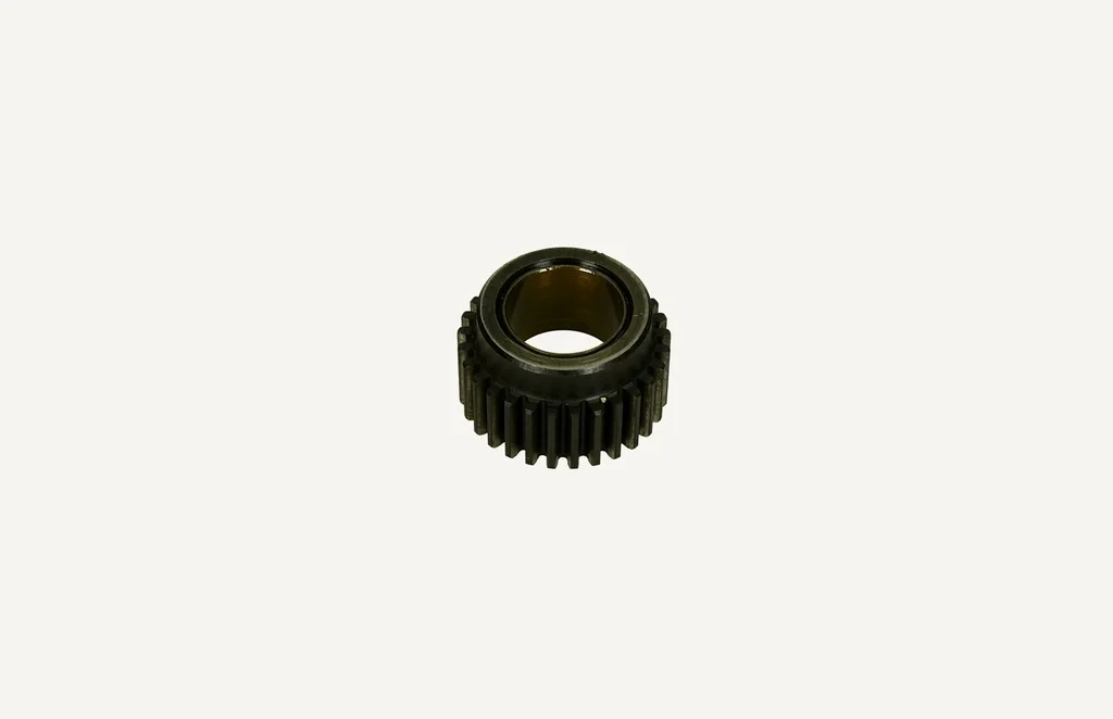 Gear 29 teeth (Occasion)