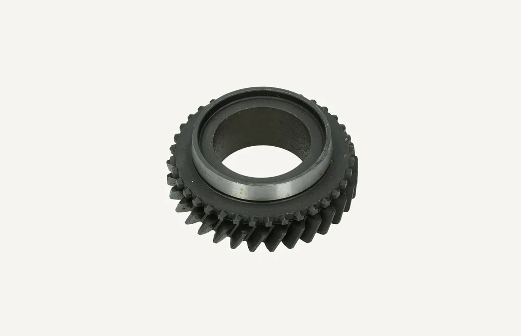 Gear 31T