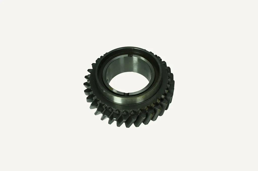 [1018008] Pignon 31 dents