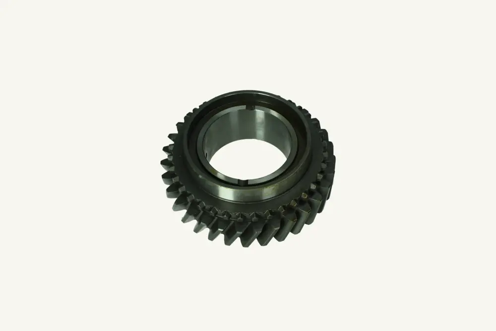 [1018008] Zahnrad 31 Zähne