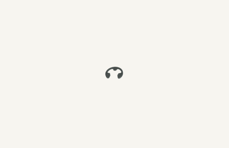 Circlip 