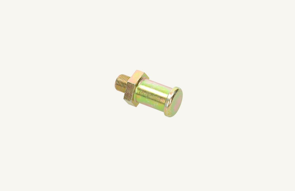 Door locking bolt M12 diameter 17mm