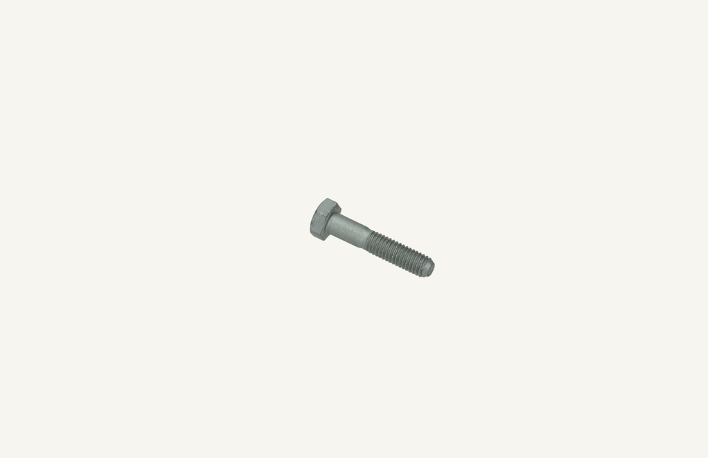 Hexagon head screw M6x1.0x30