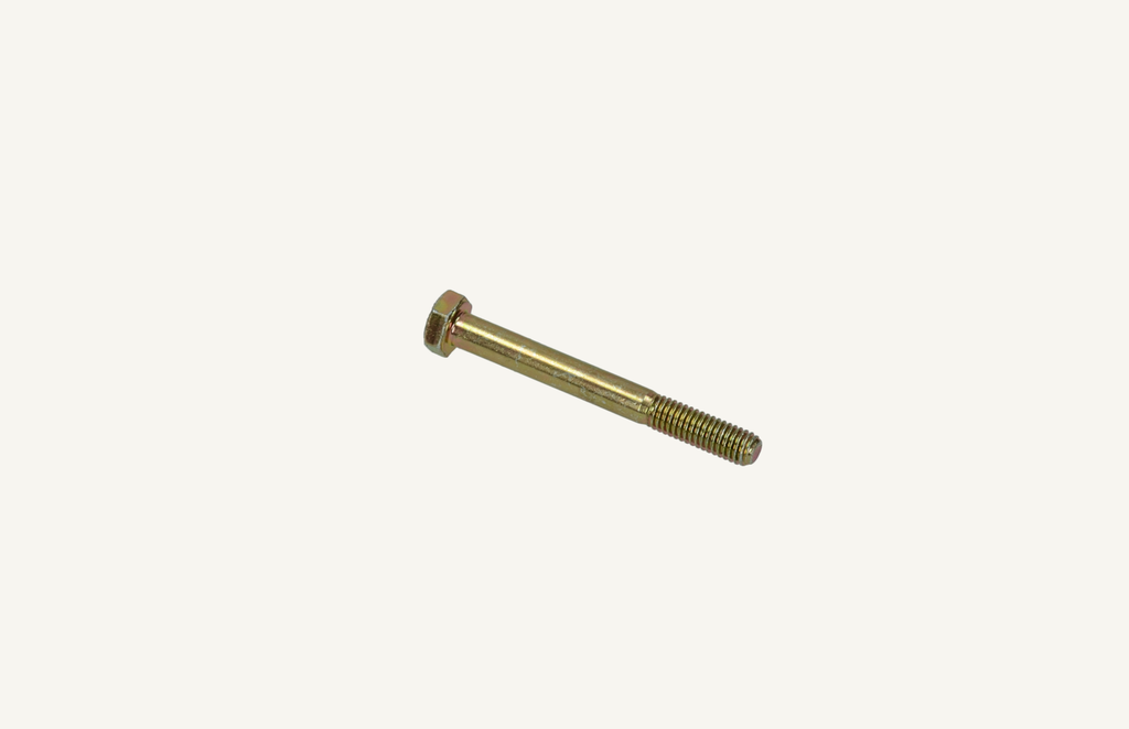 Hexagon head screw M6x55 8.8