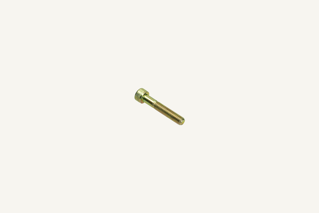 Cylinder head screw M8x1.25x45