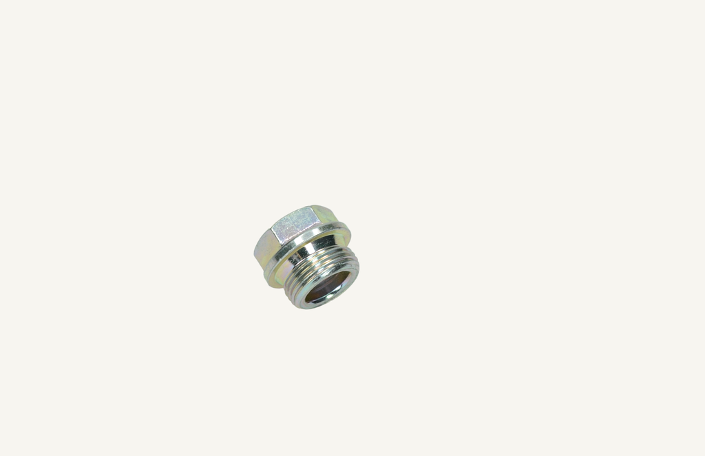 Screw plug M22x1.5mm